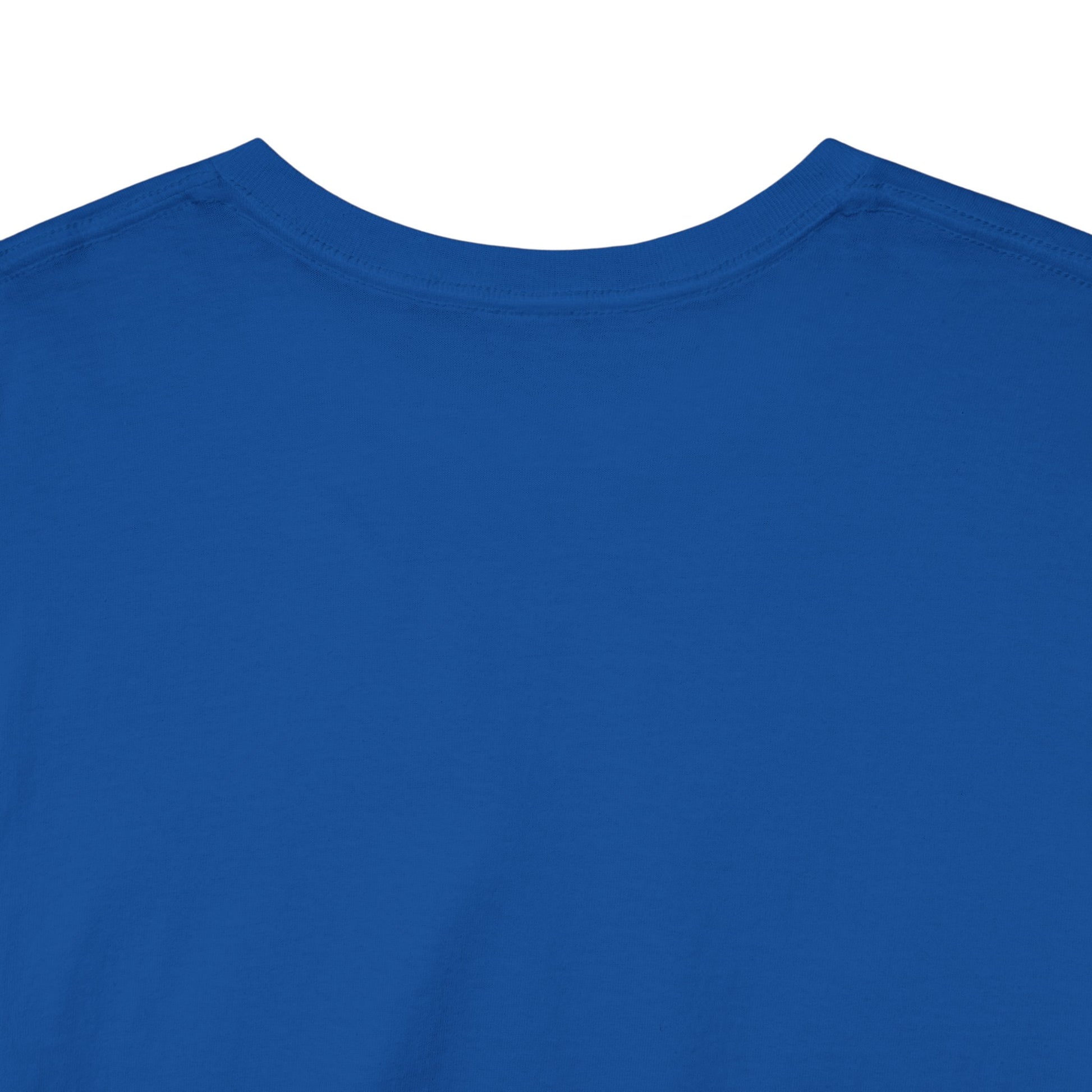 No Excuses | Heavy Cotton Tee, Motivational Apparel, Gift for Fitness Lovers